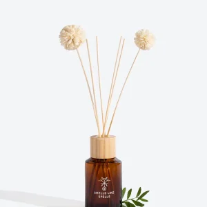 Fragrance diffuser HAG