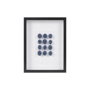Framed Sea Urchin Shadow Box Wall Decor